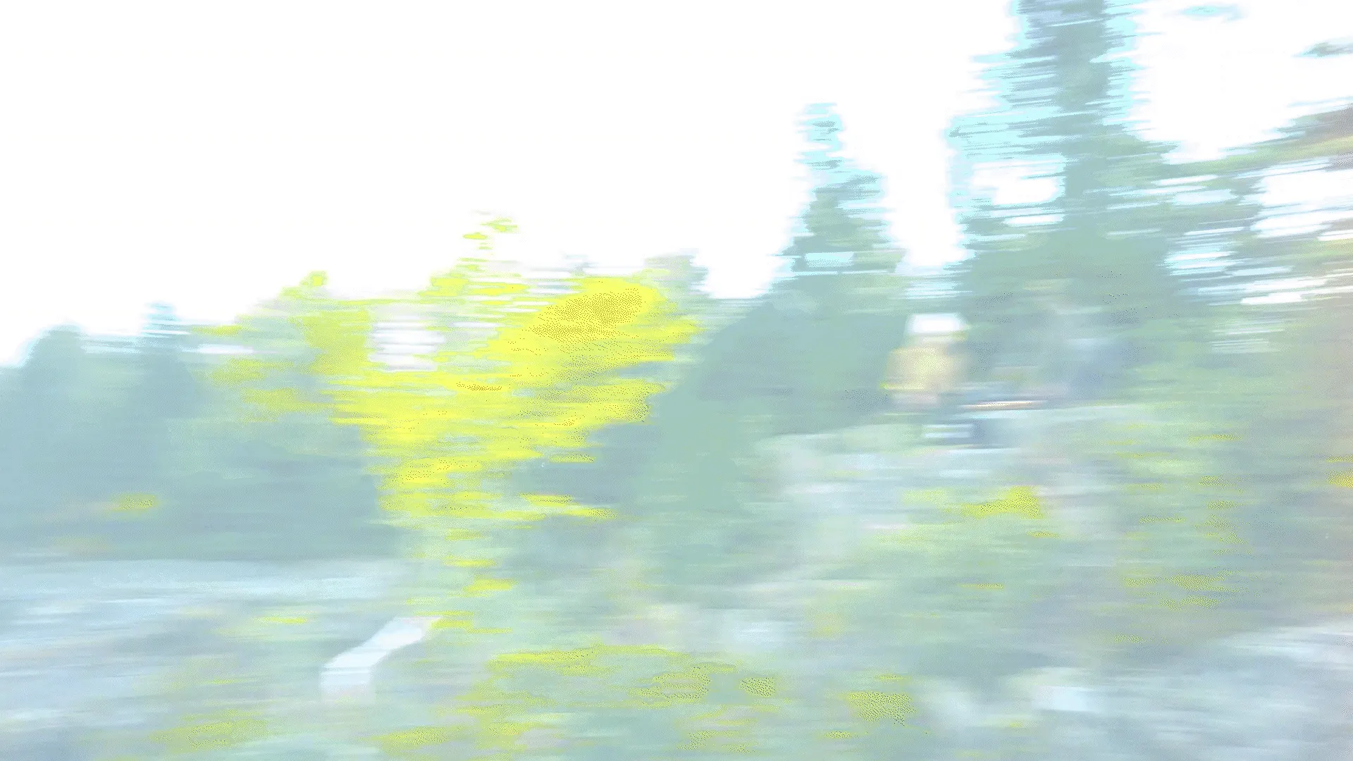 A blurred sideways camera move, in the whip pan section